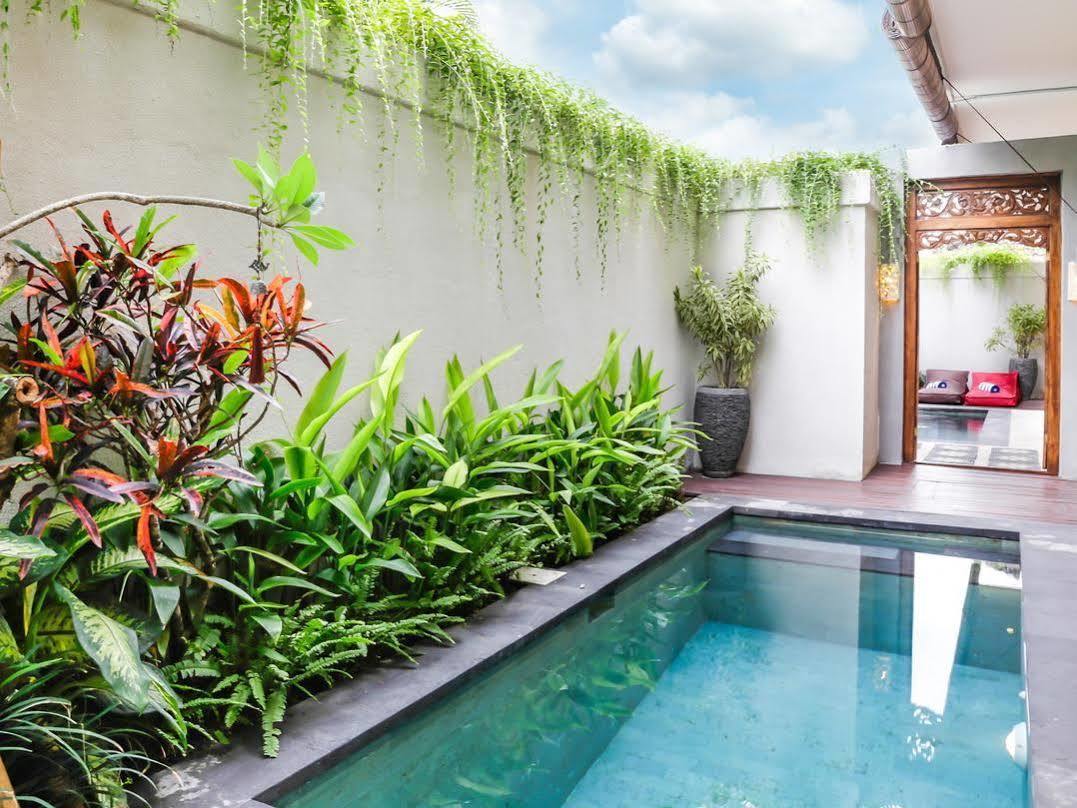 Aroha Boutique Villas Σεμινιάκ Εξωτερικό φωτογραφία
